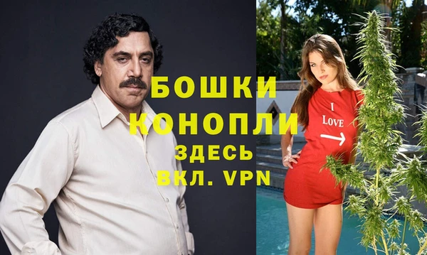 ПСИЛОЦИБИНОВЫЕ ГРИБЫ Беломорск