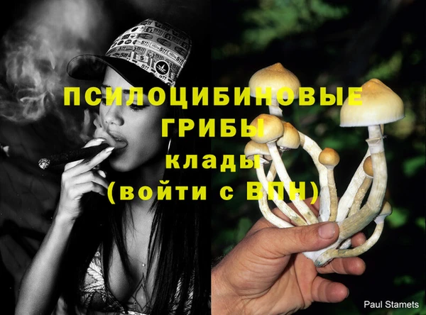 ECSTASY Белокуриха