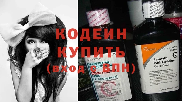 ECSTASY Белокуриха