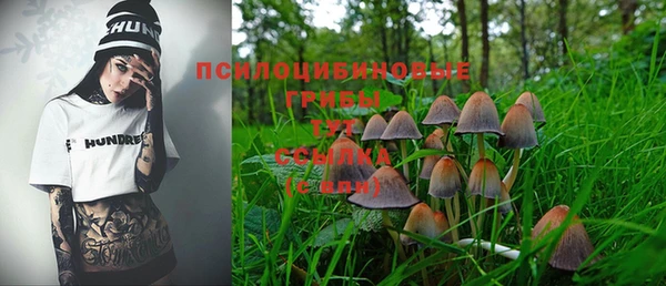 ПСИЛОЦИБИНОВЫЕ ГРИБЫ Беломорск