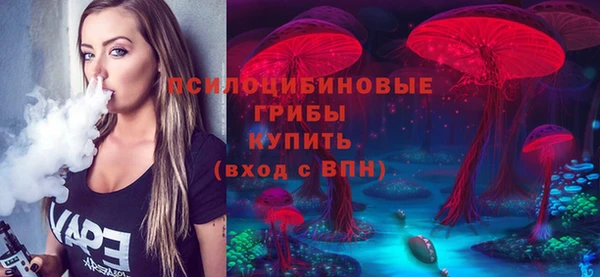 ECSTASY Белокуриха