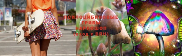 ПСИЛОЦИБИНОВЫЕ ГРИБЫ Беломорск