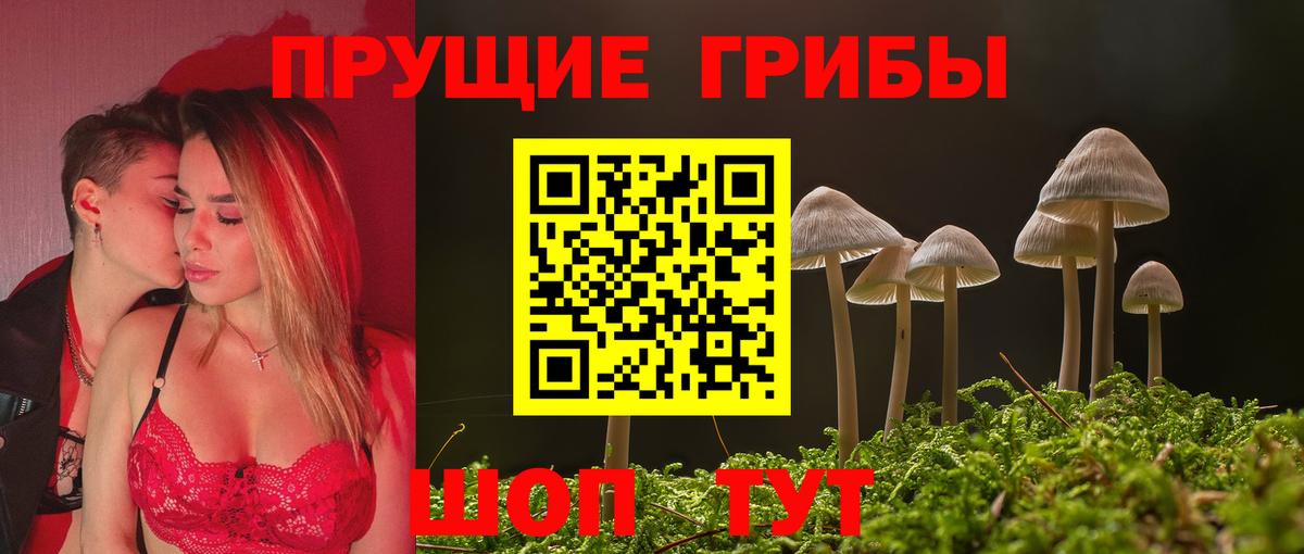 Галлюциногенные грибы GOLDEN TEACHER  Вход с VPN  Бузулук  Псилоцибиновые грибы прущие грибы 